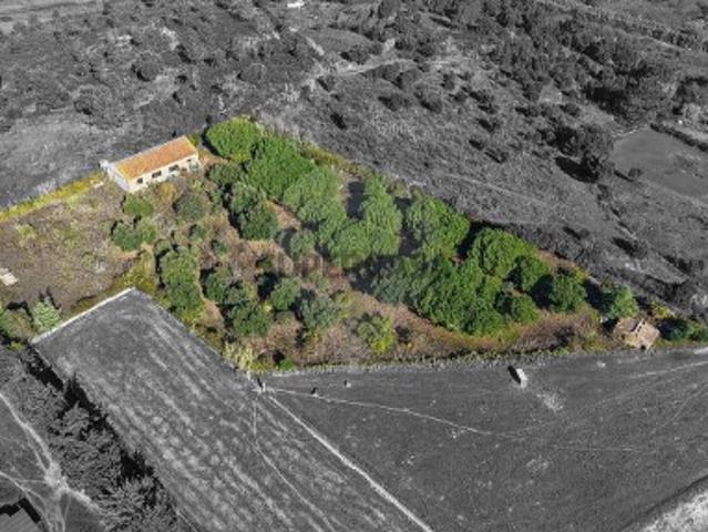 Terreno venda em Casais Vale do Brejo, Azambuja