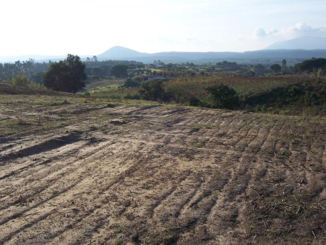 Terreno venda em Azambuja, Lisboa
