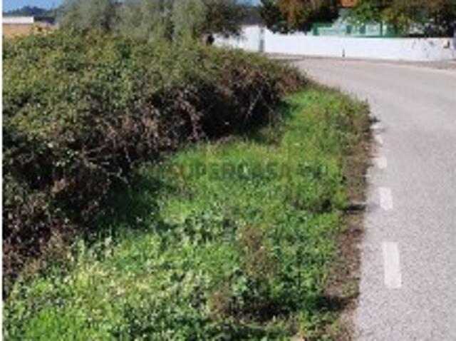 Terreno venda em Avelãs de Caminho, Anadia