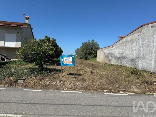 Terreno venda em Anadia, Aveiro