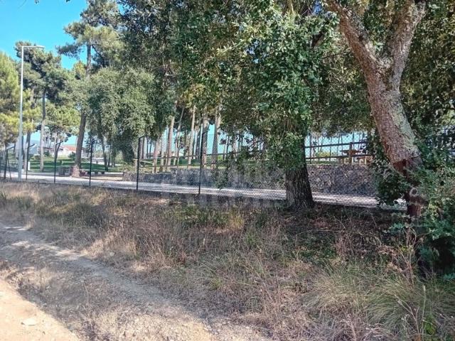 Terreno venda em Sesimbra (Castelo), Sesimbra