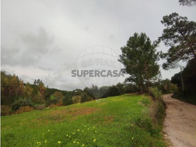 Terreno venda em Casais de Margana, Azambuja