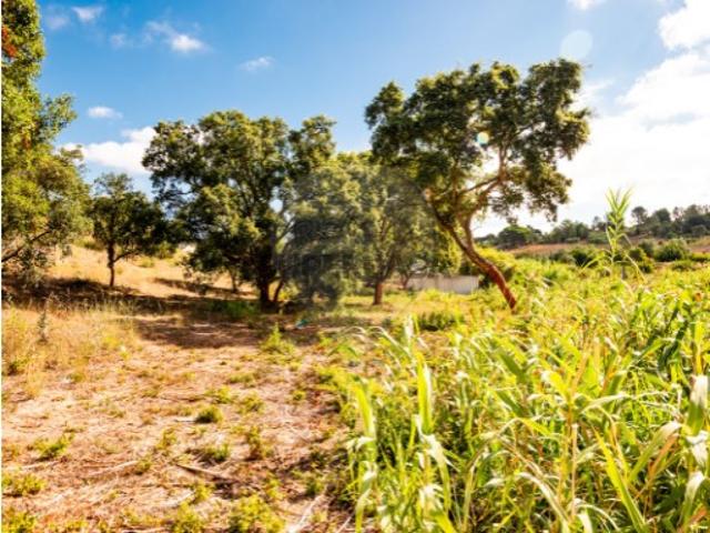 Terreno venda em Azambuja, Casais de Britos