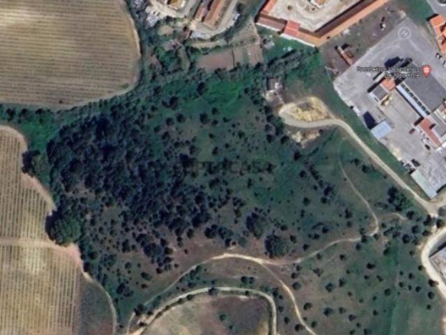 Terreno venda em Azambuja, Alcoentre