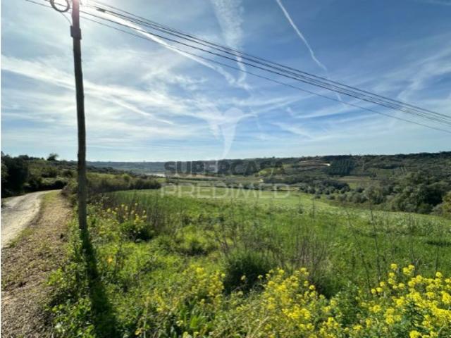 Terreno venda em Rio Maior Terreno venda em Rio Maior