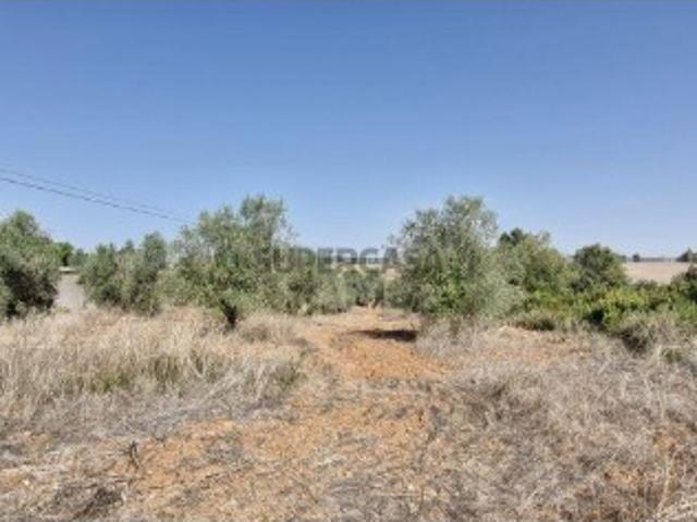 Terreno venda em Rio Maior, Santarém