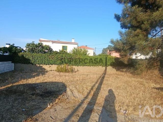 Terreno venda em Vale Florete, Setúbal