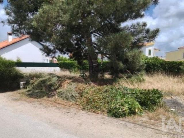 Terreno venda em Azeitão (São Lourenço e São Simão), Setúbal