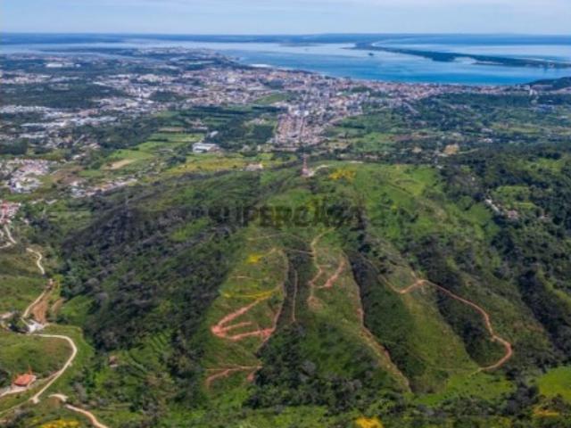 Terreno venda em Palmela, Setúbal