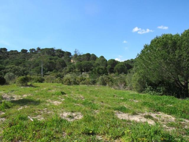 Terreno venda em Azeitão (São Lourenço e São Simão), Setúbal