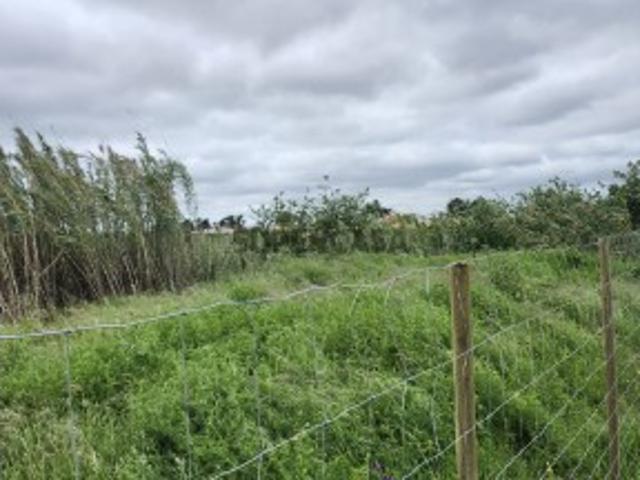 Terreno venda em Setúbal
