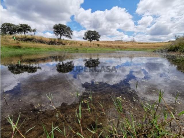 Terreno venda em Grândola, Setúbal