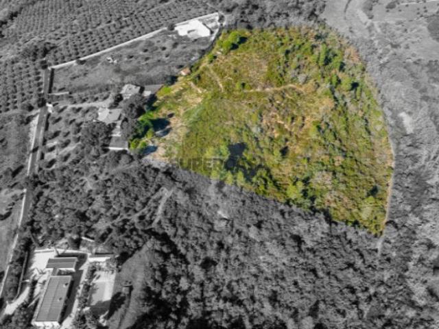 Terreno venda em Santarém