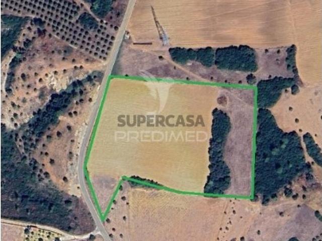 Terreno venda em Santarém