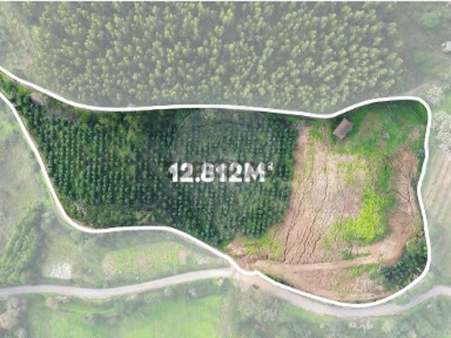 Terreno venda em Mafra, Lisboa