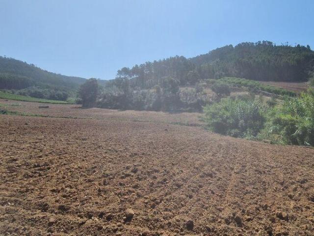 Terreno venda em Mafra, Lisboa