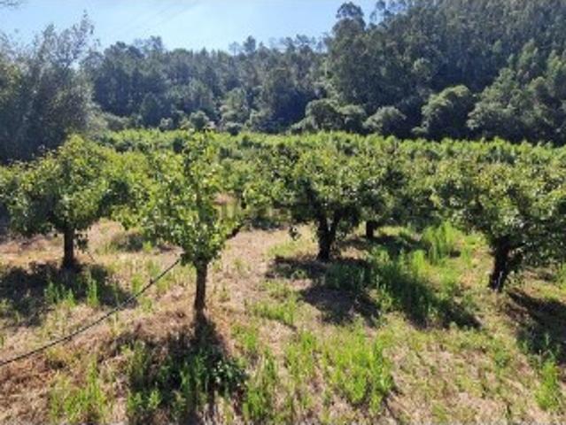 Terreno venda em Mafra, Lisboa