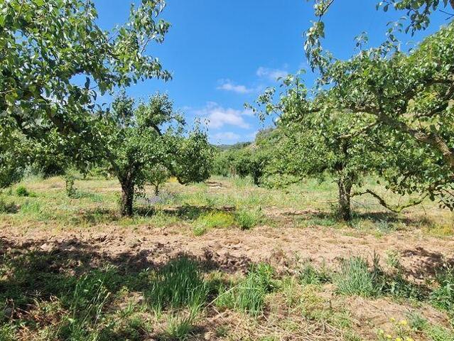 Terreno venda em Mafra, Lisboa