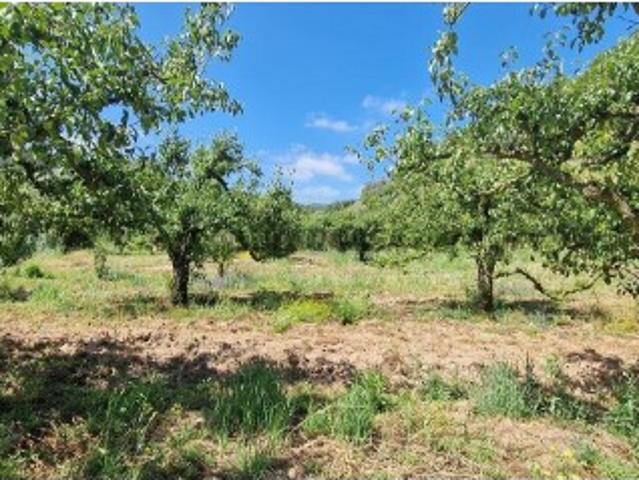Terreno venda em Mafra, Lisboa