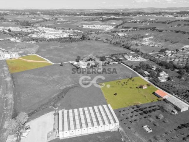 Terreno venda em Évora