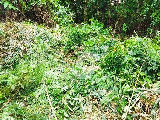 Terreno venda em Região Geográfica Imediata do Rio de Janeiro, Região Metropolitana do Rio de Janeiro