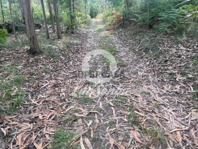 Terreno venda em Vila Do Conde, Porto