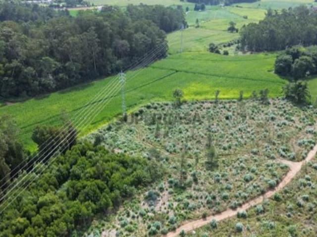 Terreno venda em Vila Do Conde, Porto