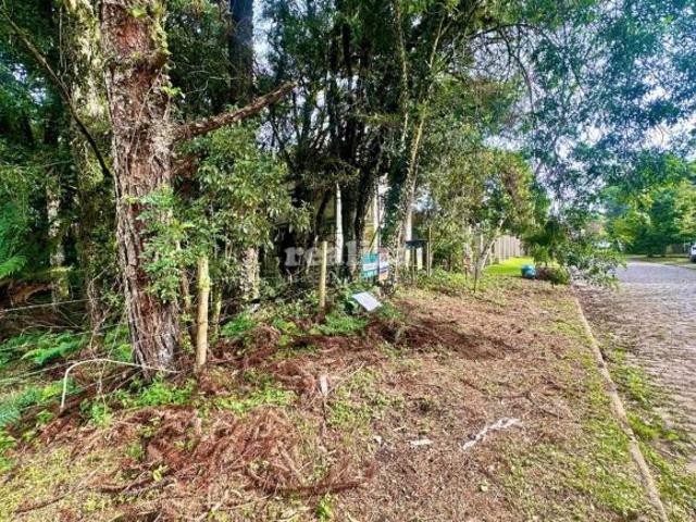 Terreno venda em Canela