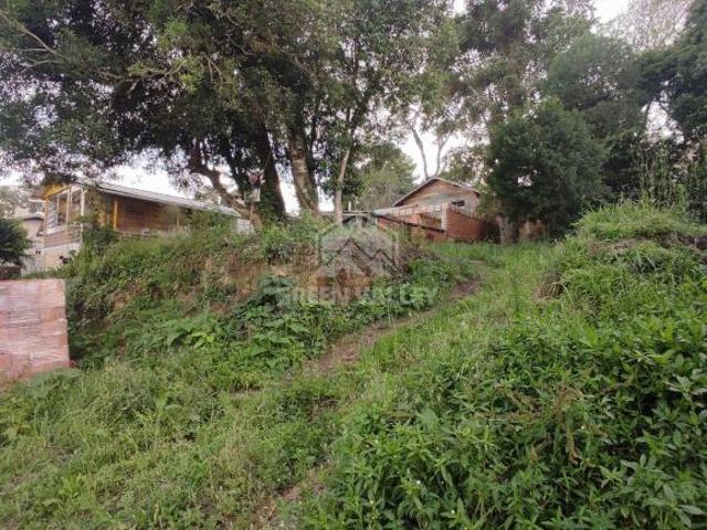 Terreno venda em Canela