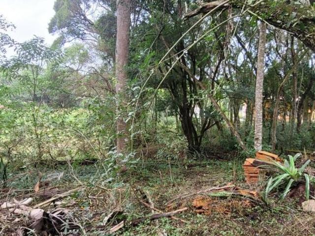 Terreno venda em Região Imediata de Sorocaba, Região Metropolitana de Sorocaba