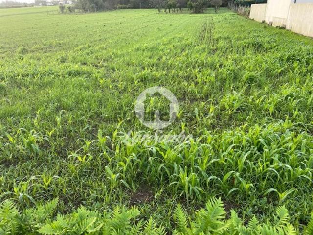 Terreno venda em Gavião, Braga