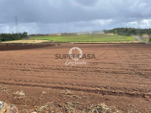 Terreno venda em A Ver-o-mar, Porto