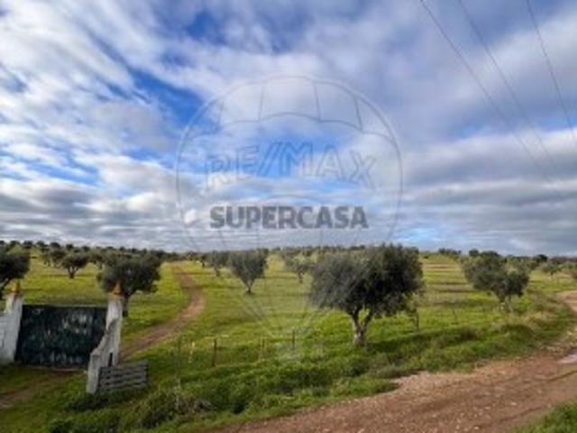 Terreno venda em Beja