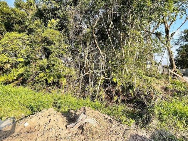 Terreno venda em Região Geográfica Imediata de Paranaguá, Guaratuba