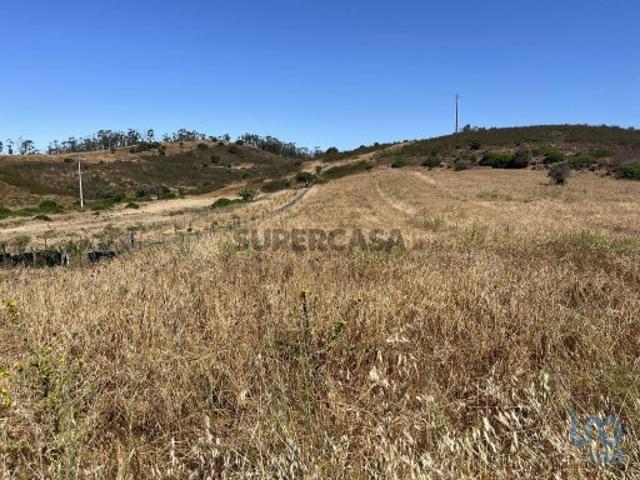 Terreno venda em Vila Do Bispo, Faro