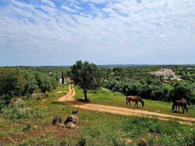 Terreno venda em Vila Do Bispo, Faro