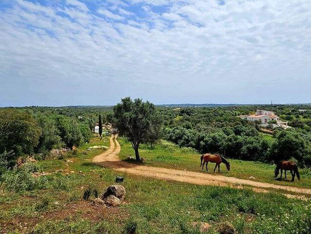 Terreno venda em Vila Do Bispo, Faro