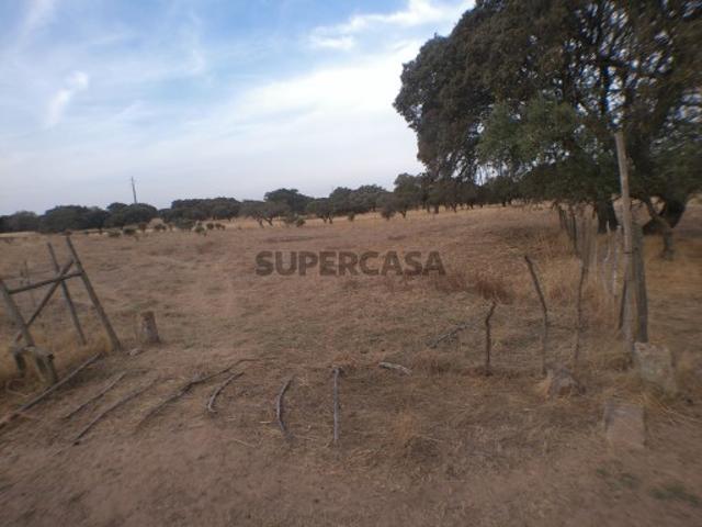 Terreno venda em Barbacena e Vila Fernando, Elvas