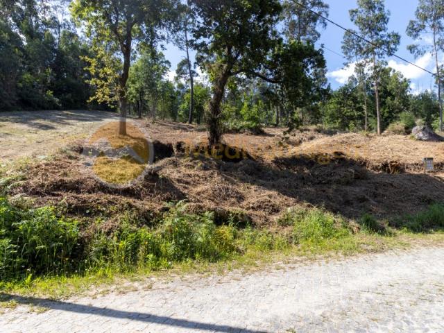 Terreno venda em Vila Verde, Braga