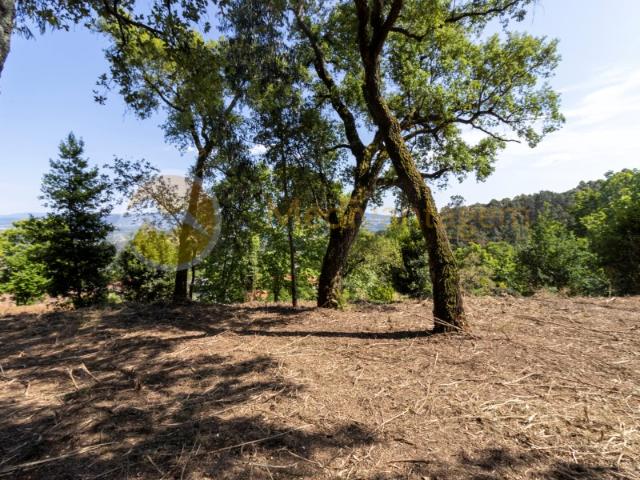 Terreno venda em Vila Verde, Braga