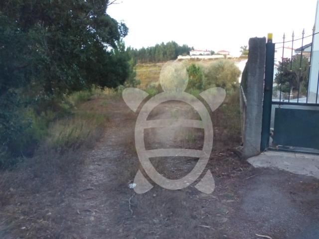 Terreno venda em Leiria