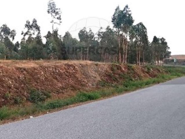 Terreno venda em Barreiro de Besteiros, Tondela