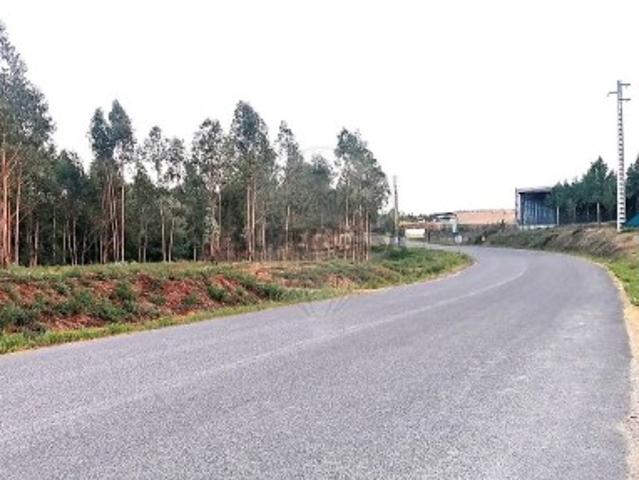 Terreno venda em Barreiro de Besteiros, Tondela