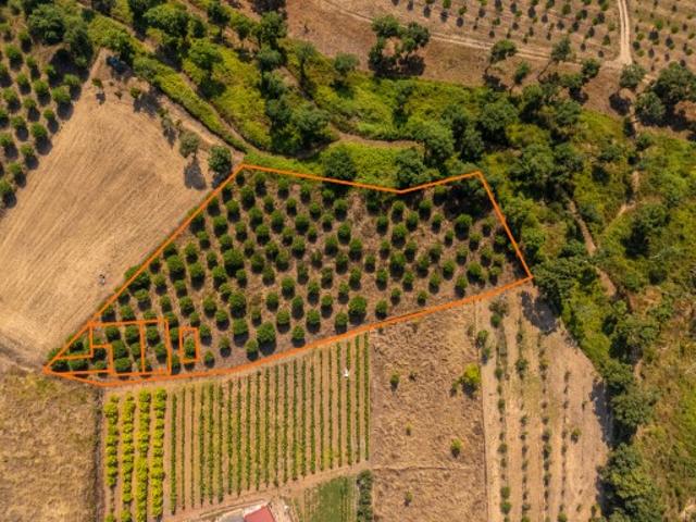 Terreno venda em Pedralhos, Alcobaça