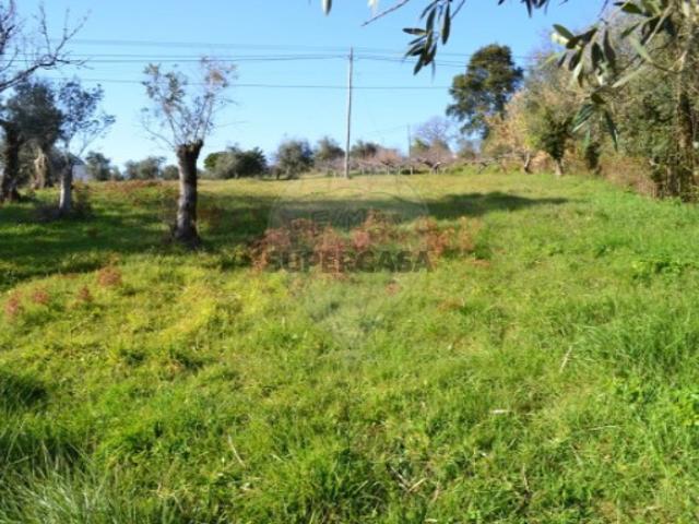 Terreno venda em Rego Da Murta, Santarém