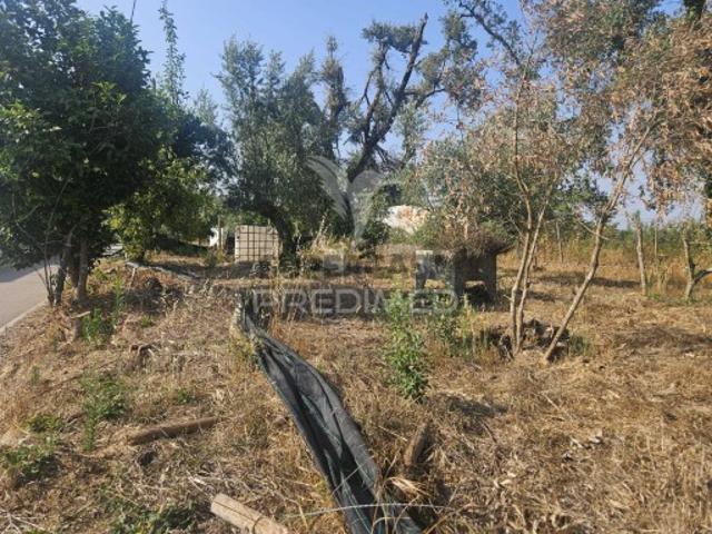 Terreno venda em Alqueidão de Santo Amaro, Rego Da Murta