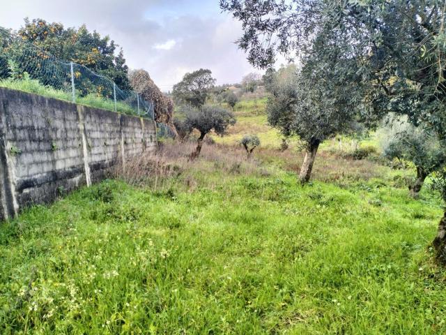 Terreno venda em Chão da Serra, Rego Da Murta