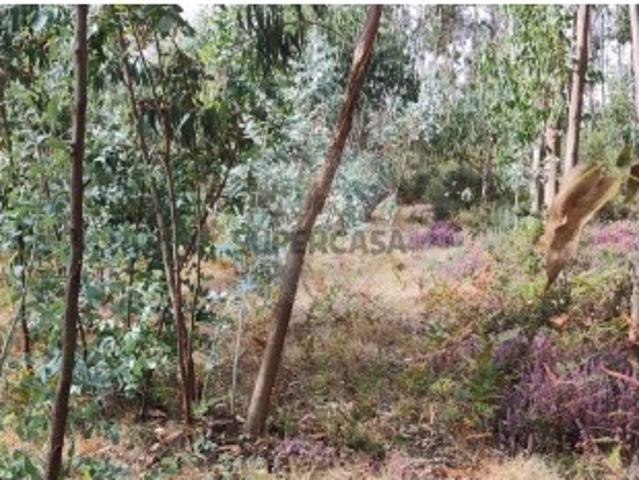 Terreno venda em Sorro, Boalhosa