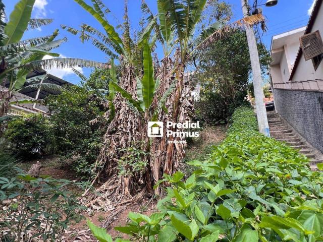 Terreno venda em Região Geográfica Imediata de Nova Friburgo, Nova Friburgo