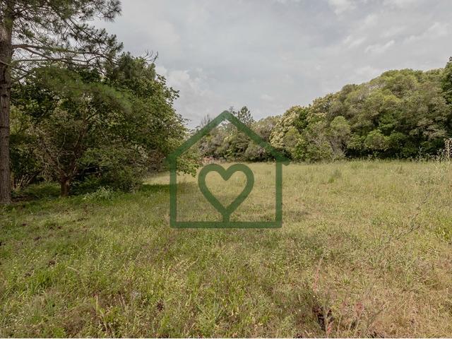 Terreno venda em Região Geográfica Imediata de Porto Alegre, Região Metropolitana de Porto Alegre